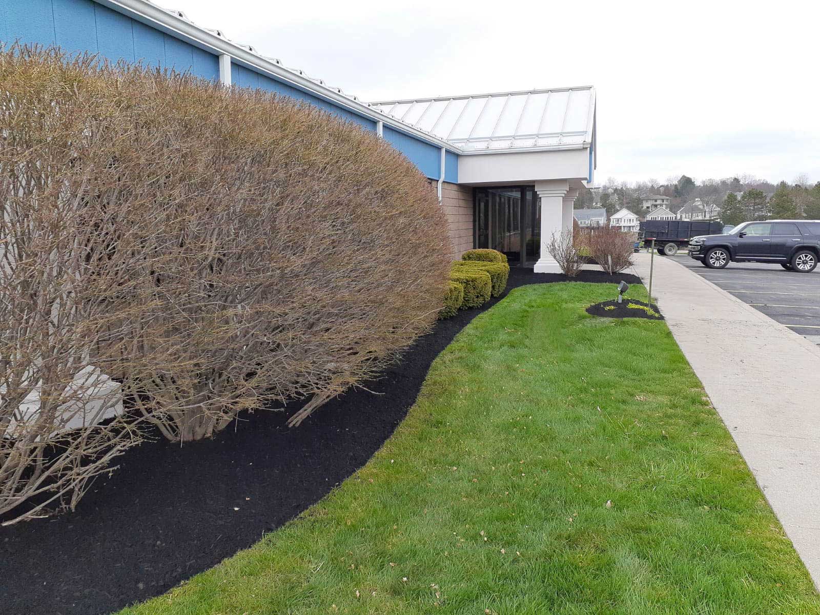 Landscape Maintenance
