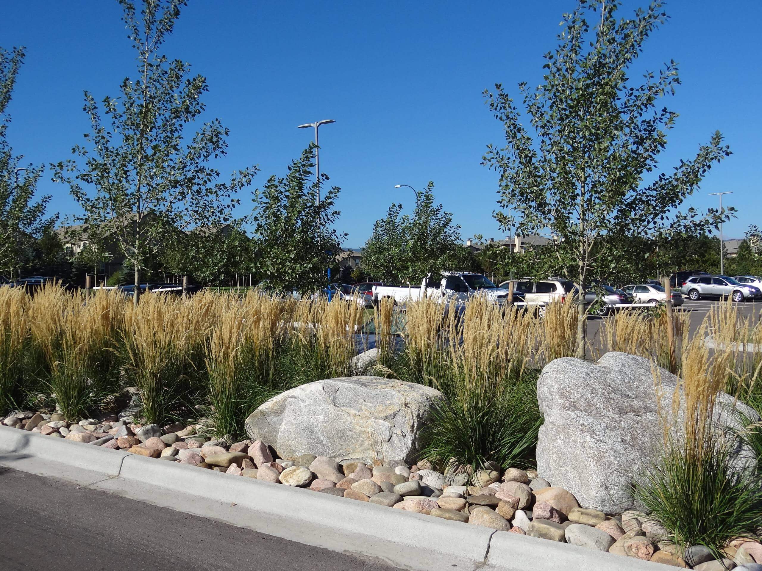 Landscape Construction